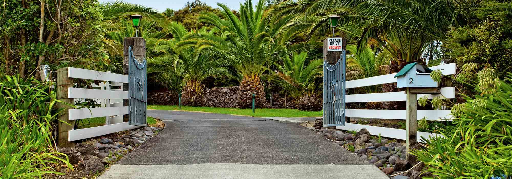 Pet Boarding Auckland, Cat Hotel/Motel North Shore, Hobsonville