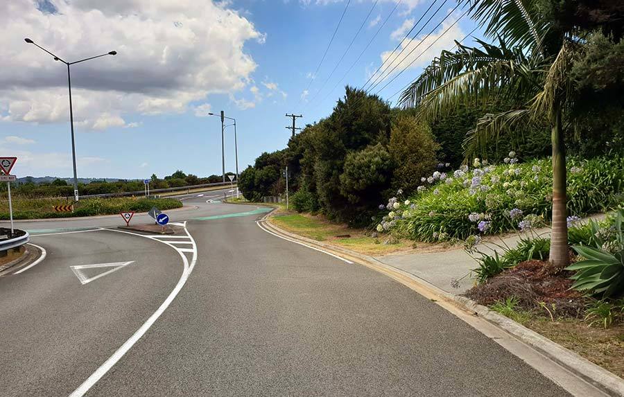 pet-boarding-auckland-cat-hotel-motel-north-shore-hobsonville