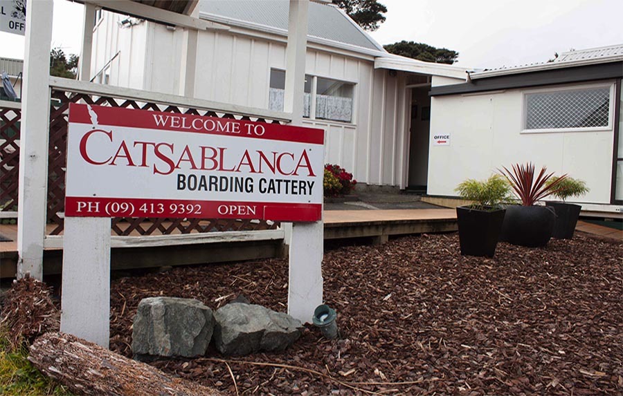 Pet Boarding Auckland, Cat Hotel/Motel North Shore, Hobsonville