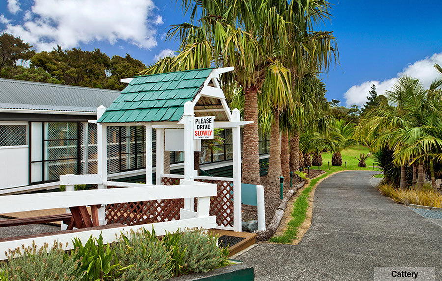 Pet Boarding Auckland, Cat Hotel/Motel North Shore, Hobsonville