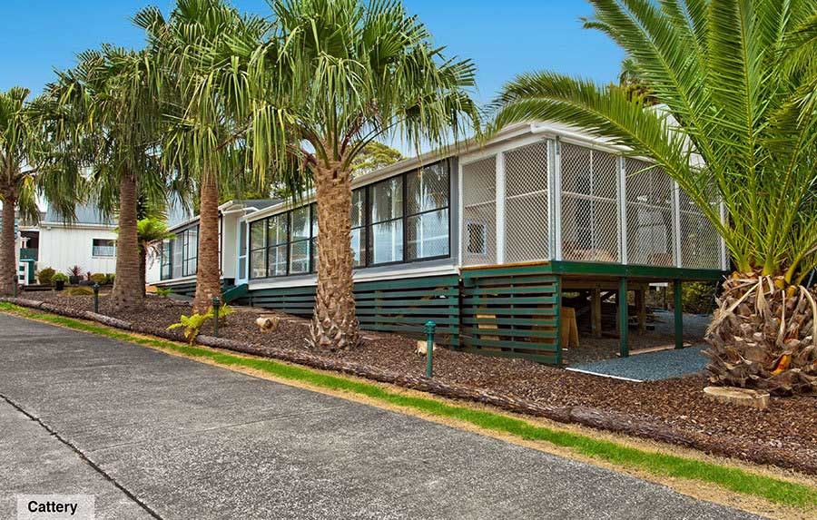 Pet Boarding Auckland